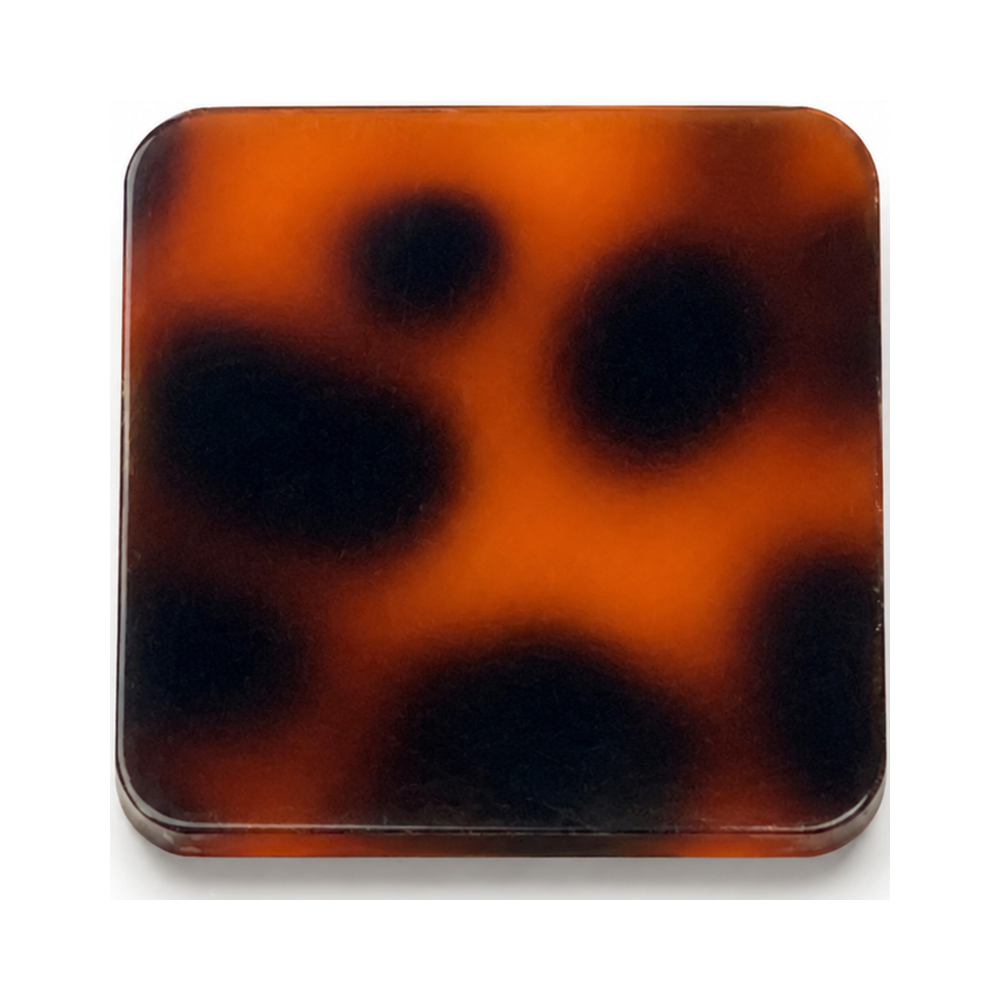 Raven Stone