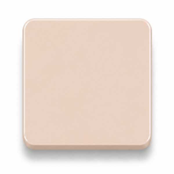 Latte — 3mm matte cast acrylic sheet, milky coffee beige